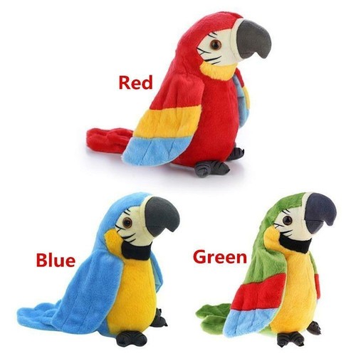 Talking parrot moves repeat - parrot,