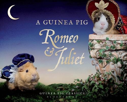 Guinea pig romeo - a, juliet