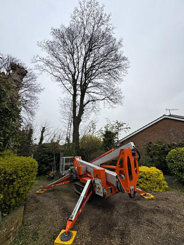 25m mewp cherry - 25m, hire.