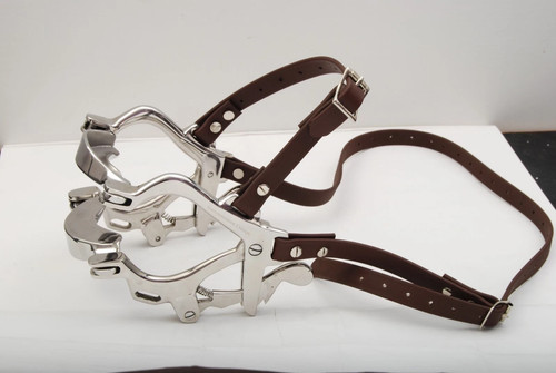 Equine dental speculum horse - equine,