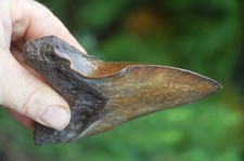 A4 ,LOVELY BIG! 5.1"