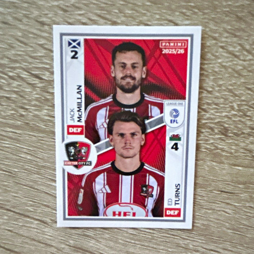 Panini efl sticker collection - sticker,