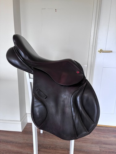 Albion adjusta jump - 17",