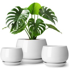 3-Pack Ceramic Plant Pots