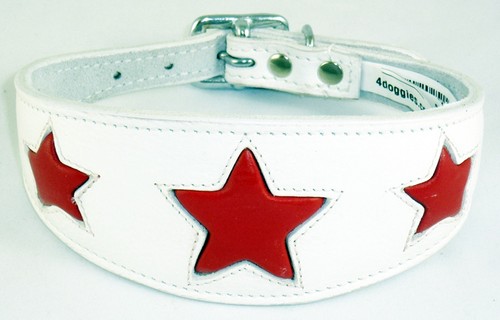 Leather star shape saluki dog - leather,