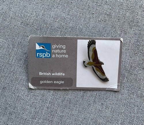 Rspb golden eagle - eagle, pin