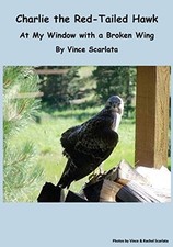 Charlie the Red-Tailed Hawk 