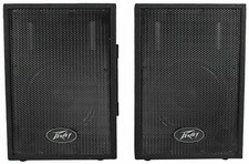 Peavey Pvi 10 Carpet Covered