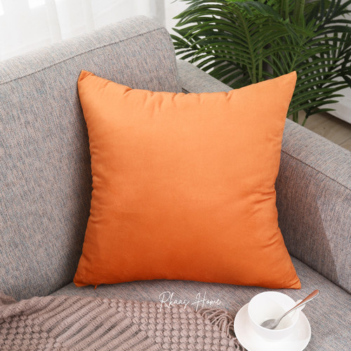 Designer velvet cushion - cushion, covers