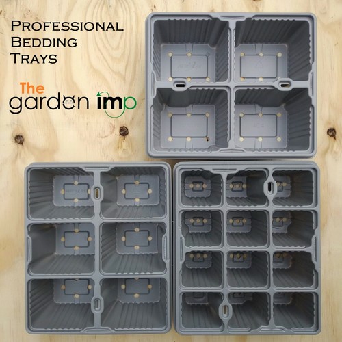 Bedding plant trays - bedding,