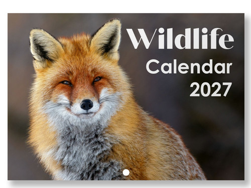 2027 wildlife calendar - 2027, wall