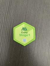 Girlguiding Camp Stage 1 Skills Builder Badge - Girl Guides