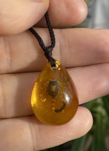Simulated amber with scorpion - simulated,