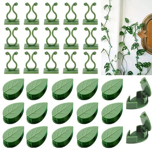 Plant climbing wall vines - plant,