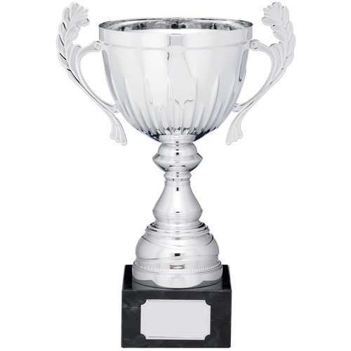 Silver presentation cup with - silver,