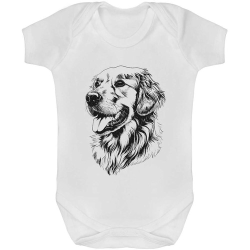 Golden retriever portrait - 'golden,