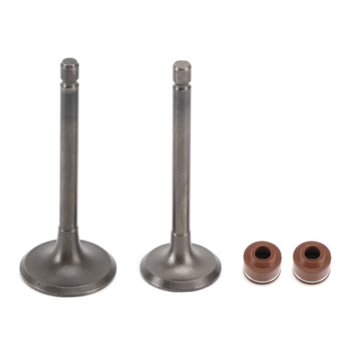 Engine intake exhaust - intake,