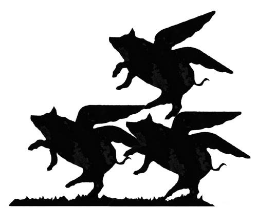 Pigs might fly flying - /,