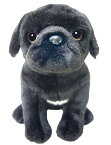 Black pug teddy pugs - black,
