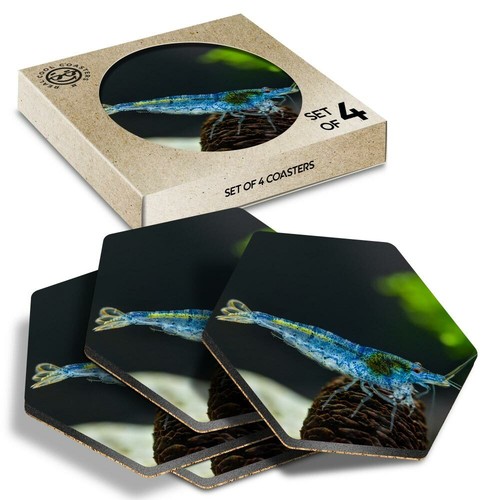Hexagon coasters blue - x,
