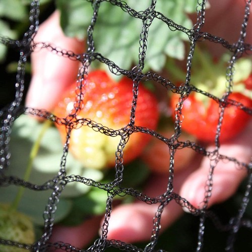 20mm mesh heavy - mesh,