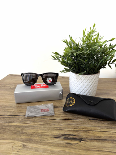 Ray ban wayfarer scuderia - ray-ban,