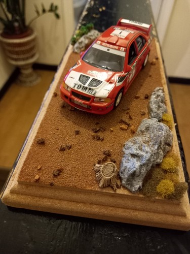 Mitsibishi evo rally - rally, car