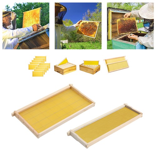 10pcs pre assembled langstroth - pre-assembled,