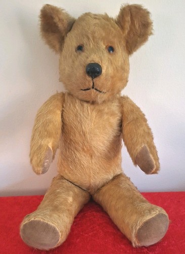 Pedigree 1950s teddy bear - pedigree, 18