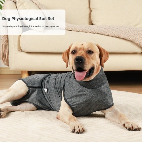 Dog stretchy recovery surgery - stretchy,