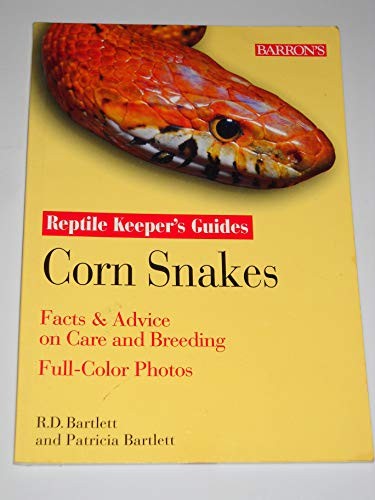 Corn snakes - snakes, basics)