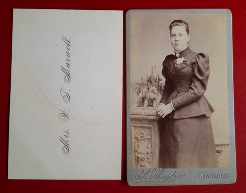 Hayter cowbridge cdv - cowbridge,, carte