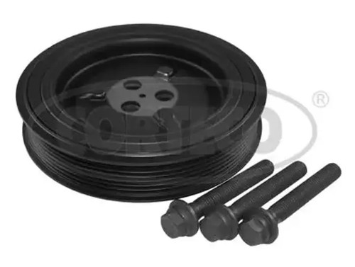 Crankshaft pulley 80004877