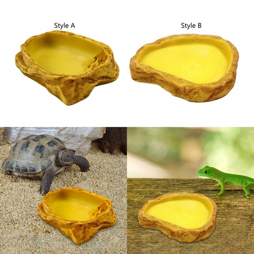 Terrarium water dish reptile - terrarium,