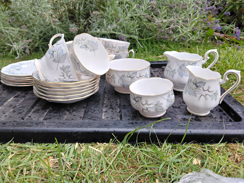 Royal albert silver maple bone - royal,