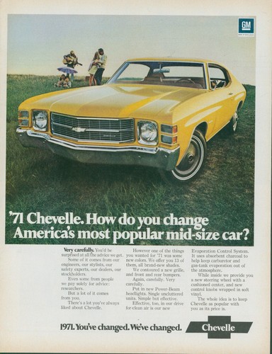 1971 chevrolet chevelle guitar - chevrolet,