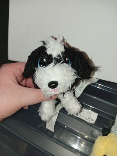 Kidz delight scruffy - delight, look