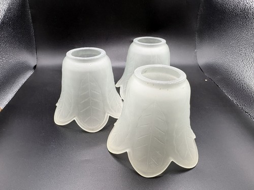 Vintage frosted glass - vintage, tulip