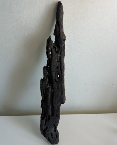 Unique driftwood with - 1,