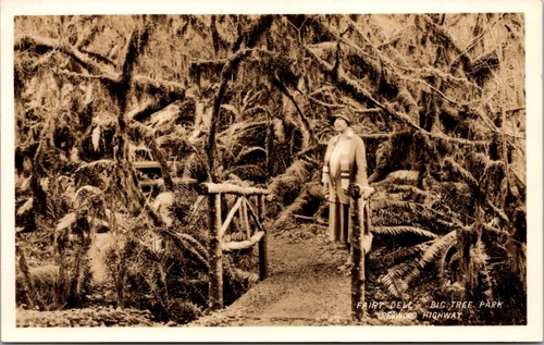 Real photo postcard fairy - real,