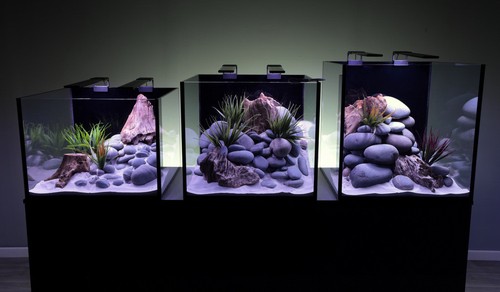 Cube aquariums cabinet - 3,