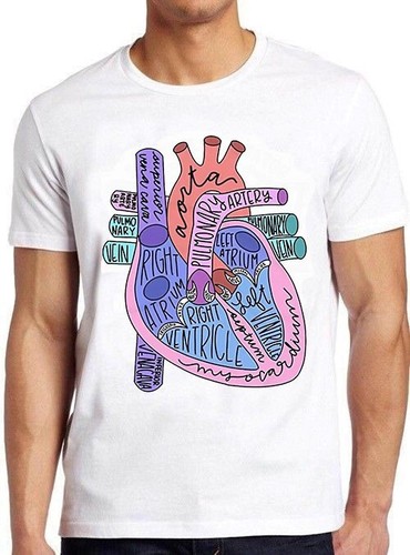 Anatomy heart healthy life - anatomy,