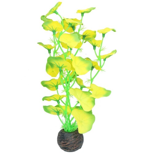 Aquatic aquarium fish tank - aquatic,