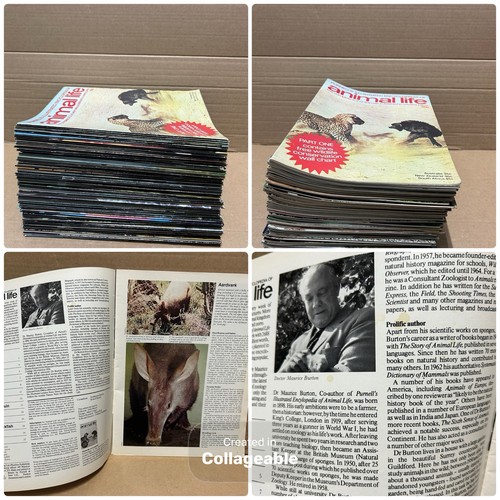 Bundle 96 purnell s - no., purnell’s