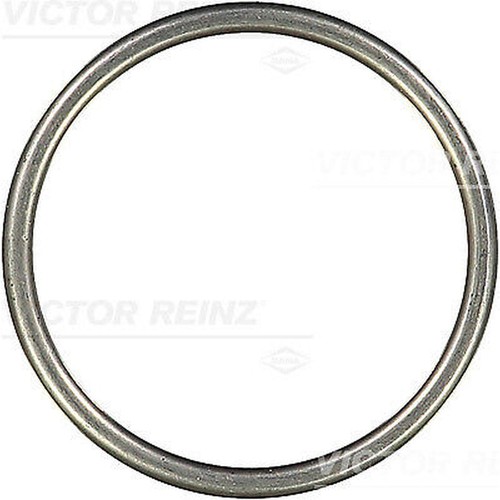 Victor reinz 26201 - reinz, 71-26201-10