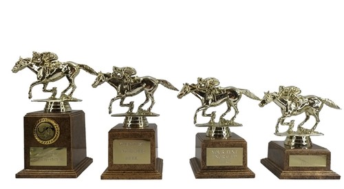 Personalised gold horse racing - personalised,