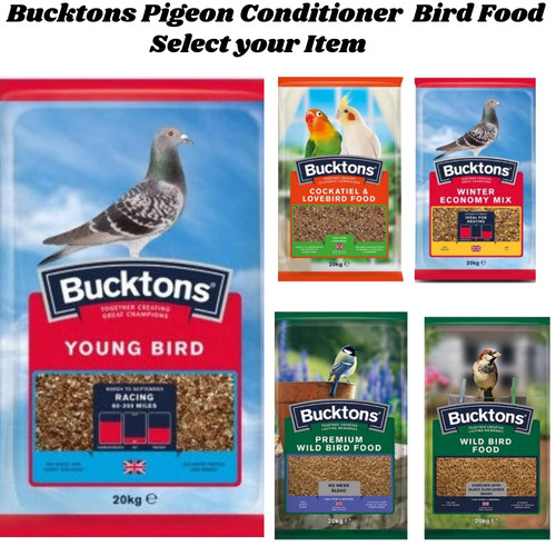 Bucktons pigeon wild bird - bucktons,