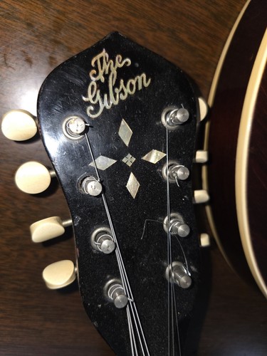 Gibson mandolin banjo - gibson,