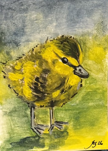 Aceo original watercolour - aceo,
