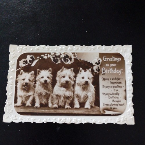 Great britain dogs postcard - great,